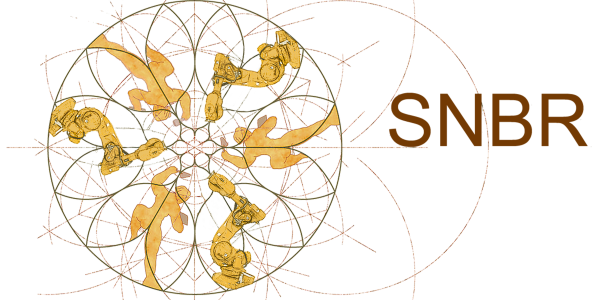 Logo SNBR mise à jour